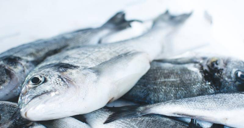 Unsplash/JakubKapusnak